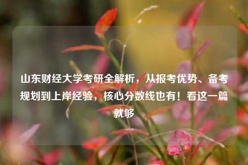 山东财经大学考研全解析,从报考优势、备考规划到上岸经验,核心分数线也有!看这一篇就够