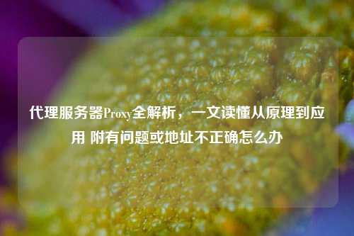 代理服务器Proxy全解析，一文读懂从原理到应用 附有问题或地址不正确怎么办