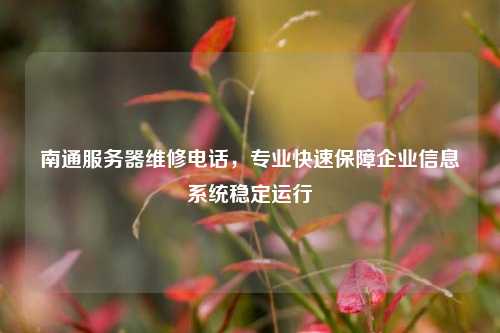 南通服务器维修电话，专业快速保障企业信息系统稳定运行