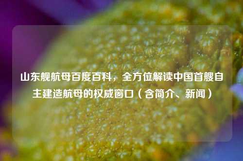 山东舰航母百度百科,全方位解读中国首艘自主建造航母的权威窗口(含简介、新闻)