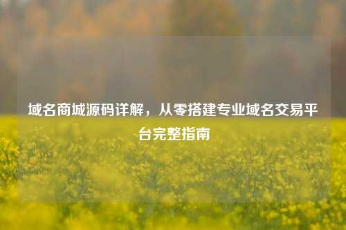 域名商城源码详解,从零搭建专业域名交易平台完整指南