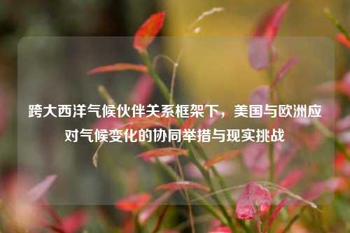 跨大西洋气候伙伴关系框架下,美国与欧洲应对气候变化的协同举措与现实挑战