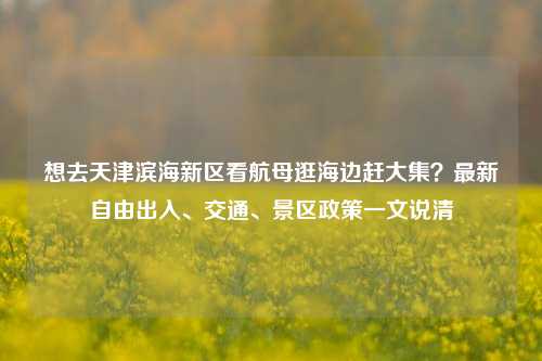 想去天津滨海新区看航母逛海边赶大集？最新自由出入、交通、景区政策一文说清