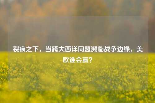 裂痕之下,当跨大西洋同盟濒临战争边缘,美欧谁会赢?