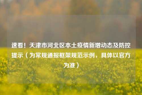 速看!天津市河北区本土疫情新增动态及防控提示(为常规通报框架规范示例,具体以官方为准)