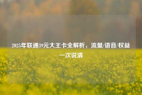 2025年联通39元大王卡全解析,流量/语音/权益一次说清