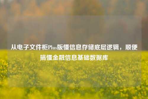 从电子文件柜Plus版懂信息存储底层逻辑,顺便搞懂金融信息基础数据库