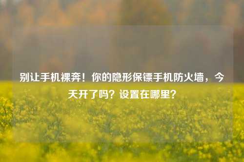别让手机裸奔！你的隐形保镖手机防火墙，今天开了吗？设置在哪里？