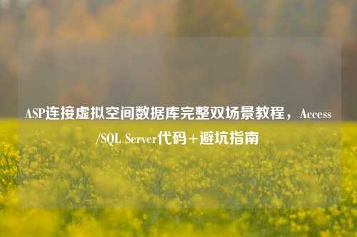 ASP连接虚拟空间数据库完整双场景教程，Access/SQL Server代码+避坑指南