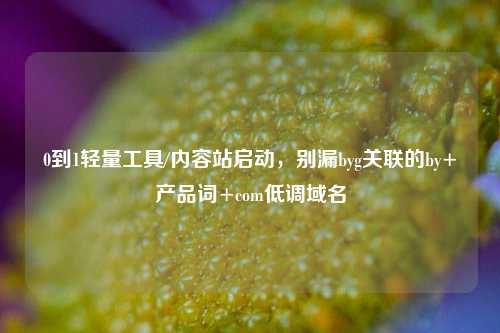 0到1轻量工具/内容站启动，别漏byg关联的by+产品词+com低调域名