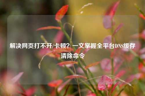 解决网页打不开/卡顿?一文掌握全平台DNS缓存清除命令