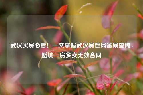 武汉买房必看！一文掌握武汉房管局备案查询，避坑一房多卖无效合同