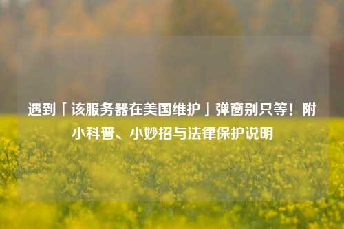 遇到「该服务器在美国维护」弹窗别只等!附小科普、小妙招与法律保护说明