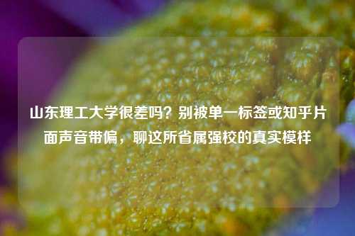山东理工大学很差吗？别被单一标签或知乎片面声音带偏，聊这所省属强校的真实模样