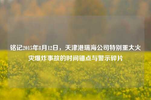 铭记2015年8月12日,天津港瑞海公司特别重大火灾爆炸事故的时间锚点与警示碎片