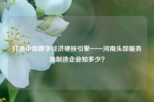 打造中部数字经济硬核引擎——河南头部服务器制造企业知多少?