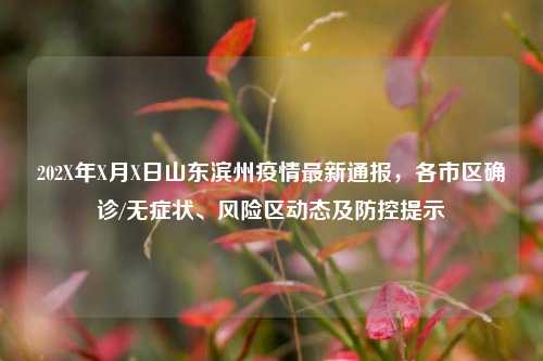 202X年X月X日山东滨州疫情最新通报,各市区确诊/无症状、风险区动态及防控提示