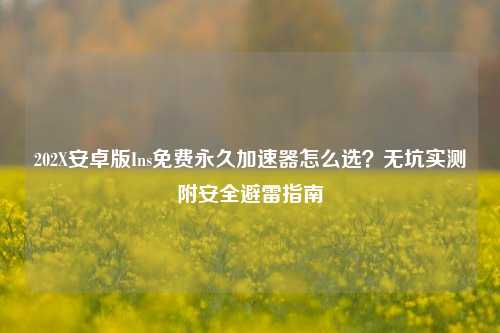 202X安卓版Ins免费永久加速器怎么选?无坑实测附安全避雷指南
