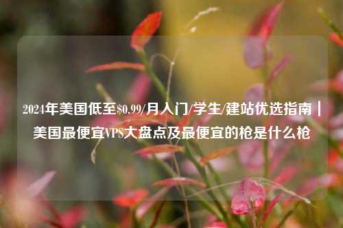 2024年美国低至$0.99/月入门/学生/建站优选指南|美国最便宜VPS大盘点及最便宜的枪是什么枪
