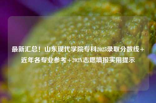 最新汇总!山东现代学院专科2025录取分数线+近年各专业参考+202X志愿填报实用提示