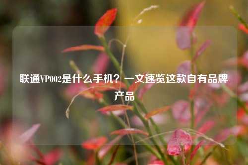 联通VP002是什么手机?一文速览这款自有品牌产品
