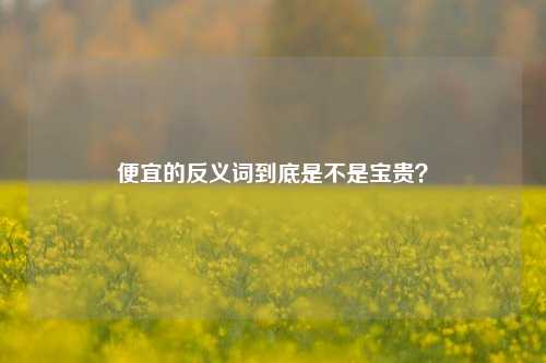 便宜的反义词到底是不是宝贵?