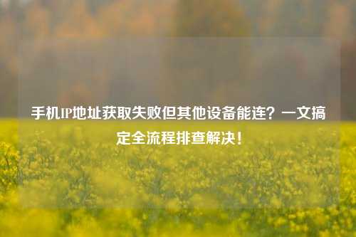 手机IP地址获取失败但其他设备能连?一文搞定全流程排查解决!