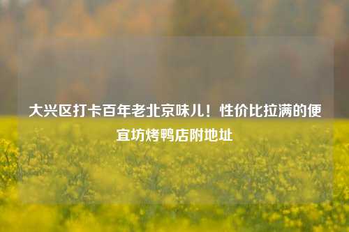 大兴区打卡百年老北京味儿!性价比拉满的便宜坊烤鸭店附地址
