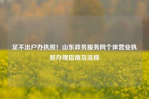足不出户办执照！山东政务服务网个体营业执照办理指南及流程