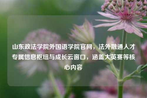山东政法学院外国语学院官网,法外融通人才专属信息枢纽与成长云窗口,涵盖大英赛等核心内容