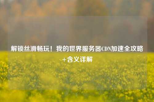 解锁丝滑畅玩!我的世界服务器CDN加速全攻略+含义详解