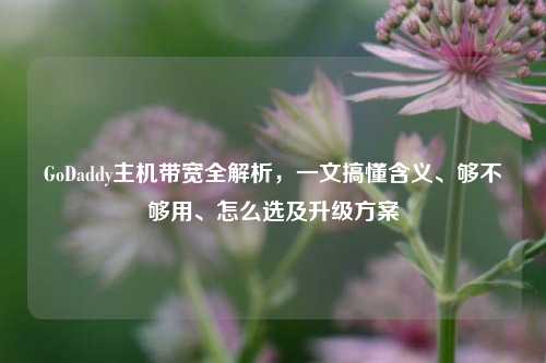 GoDaddy主机带宽全解析,一文搞懂含义、够不够用、怎么选及升级方案