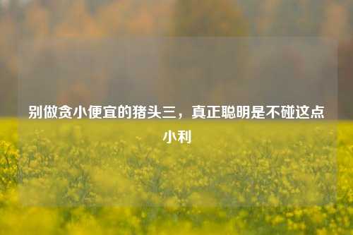 别做贪小便宜的猪头三，真正聪明是不碰这点小利