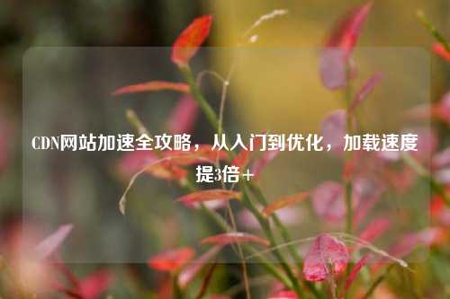 CDN网站加速全攻略,从入门到优化,加载速度提3倍+