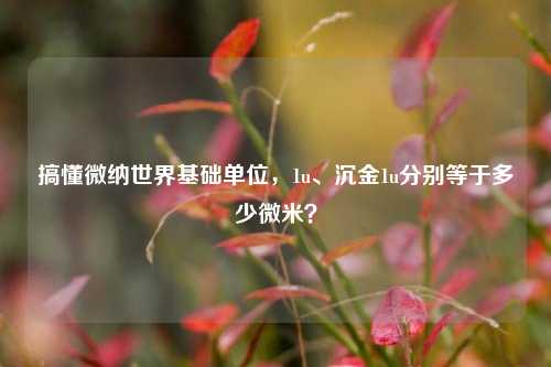 搞懂微纳世界基础单位,1u、沉金1u分别等于多少微米?