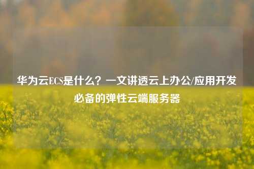 华为云ECS是什么？一文讲透云上办公/应用开发必备的弹性云端服务器