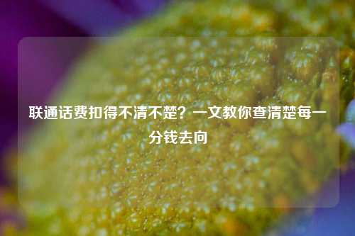 联通话费扣得不清不楚？一文教你查清楚每一分钱去向
