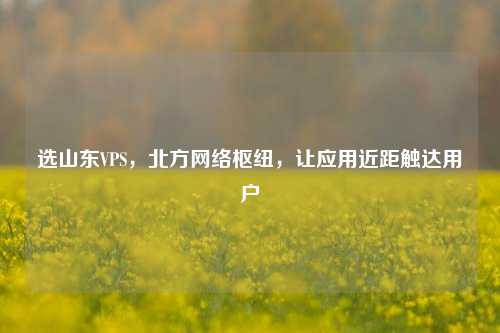 选山东VPS，北方网络枢纽，让应用近距触达用户