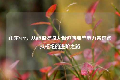 山东VPP,从能源资源大省迈向新型电力系统虚拟枢纽的进阶之路