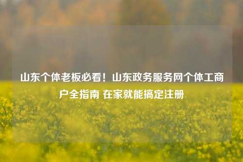 山东个体老板必看！山东政务服务网个体工商户全指南 在家就能搞定注册