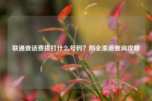 联通查话费拨打什么号码?附全渠道查询攻略