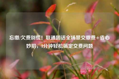 忘缴/欠费别慌！联通固话全场景交缴费+省心妙招，1分钟轻松搞定交费问题