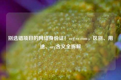 别选错项目的网络身份证！org vs com，区别、用途、org含义全拆解