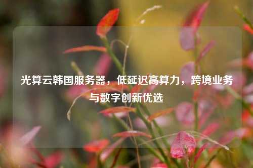光算云韩国服务器，低延迟高算力，跨境业务与数字创新优选