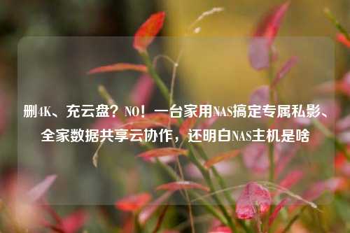 删4K、充云盘？NO！一台家用NAS搞定专属私影、全家数据共享云协作，还明白NAS主机是啥