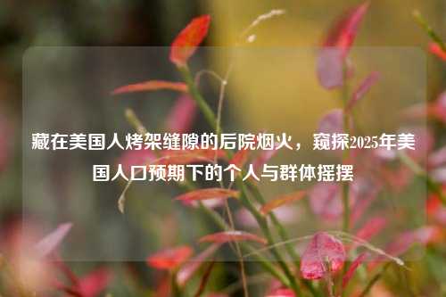 藏在美国人烤架缝隙的后院烟火，窥探2025年美国人口预期下的个人与群体摇摆
