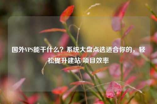 国外VPS能干什么?系统大盘点选适合你的,轻松提升建站/项目效率