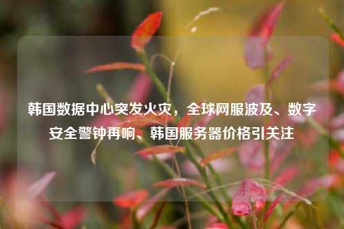 韩国数据中心突发火灾，全球网服波及、数字安全警钟再响、韩国服务器价格引关注