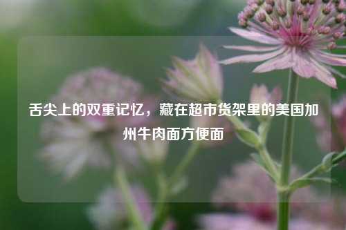 舌尖上的双重记忆，藏在超市货架里的美国加州牛肉面方便面