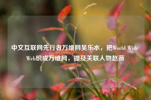 中文互联网先行者万维网吴乐水，把World Wide Web织成万维网，提及关联人物赵薇